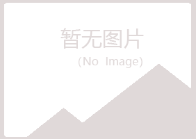 福鼎夏岚能源有限公司